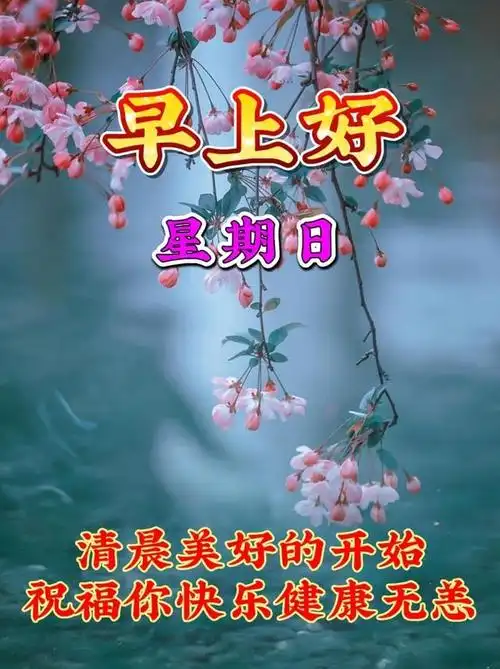 周日早上好,温馨暖心早安祝福图片语问候语