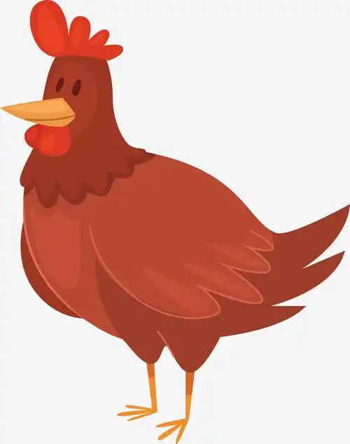扁平公鸡动漫公鸡