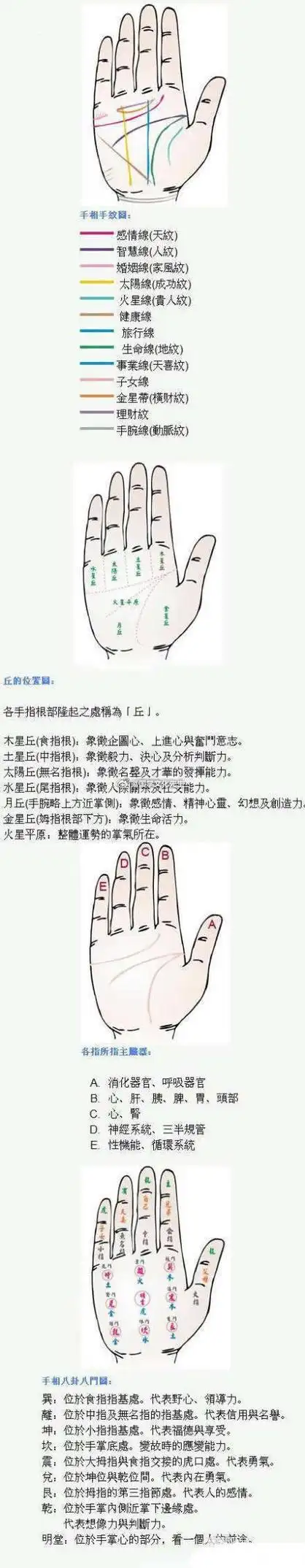 【手相基本知识】学会看手相一定要学会图中的这些知识.