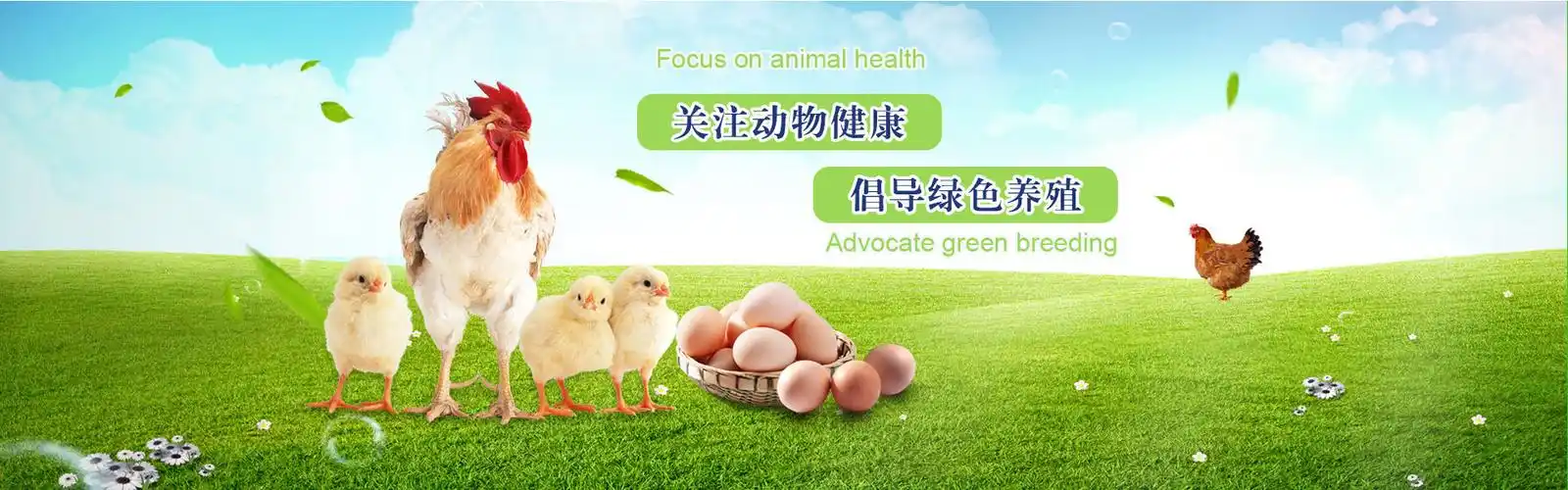 视频-山东维希尔集团-兽药/饲料添加剂/动保产品