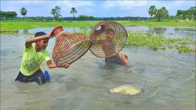 农村小孩又抓到大鱼了,在农村抓鱼太开心了