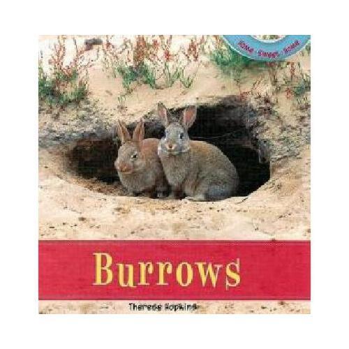 【预订】burrows