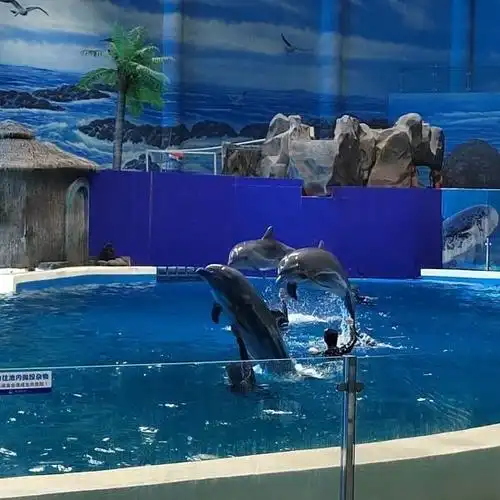 周口海洋馆在哪,周口市海洋馆在哪里