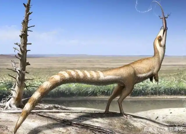 第一种彩色恐龙——中华龙鸟