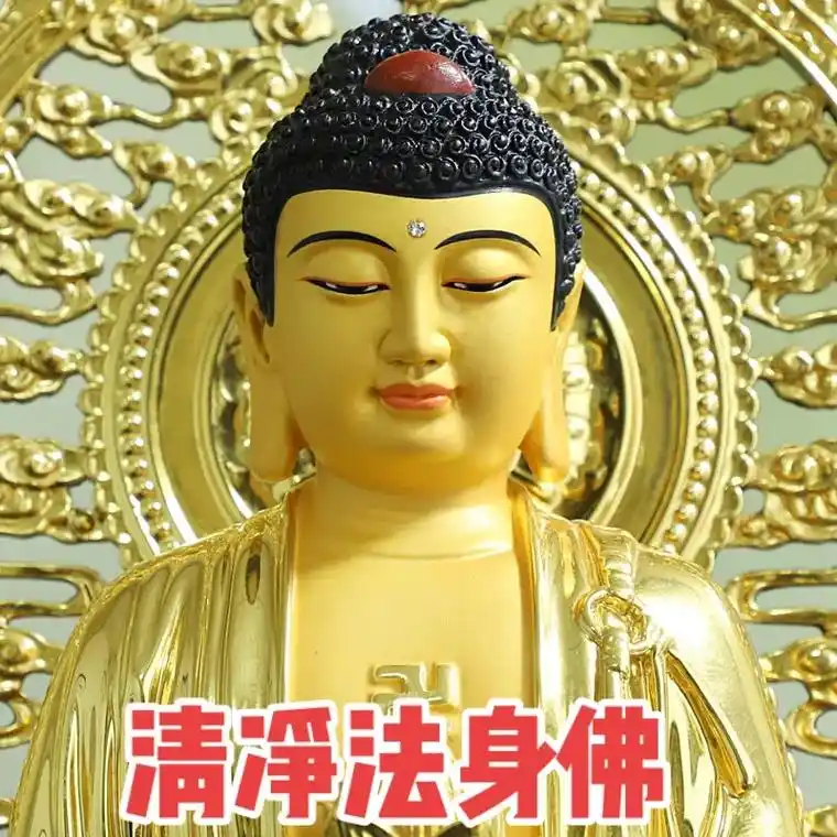 清净法身佛 清净法身毗卢遮那佛 圆满报身佛 圆满报身卢舍那佛 - 抖音