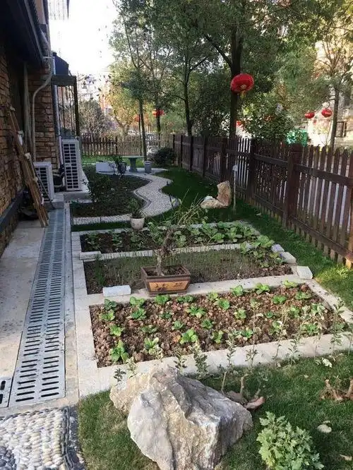 室外的小桥流水和小菜园,吃自己种的菜也是一种幸福.