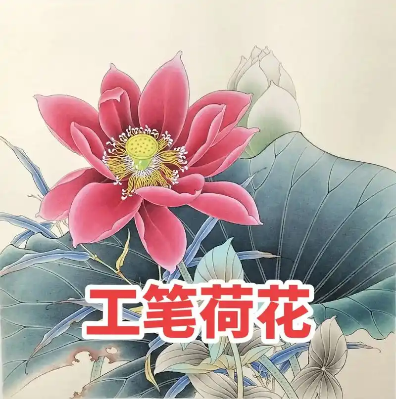 工笔荷花图.作品已完成,希望大家喜欢!#工笔画 #手绘 #荷 - 抖音