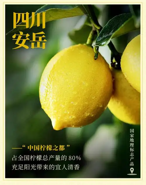 柠檬安岳云南高山滇红匠心妙配新益红茶150克滇红