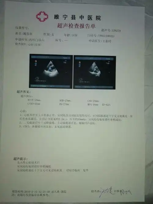 孩子刚做的心脏彩超谁给解读一下,谢谢!