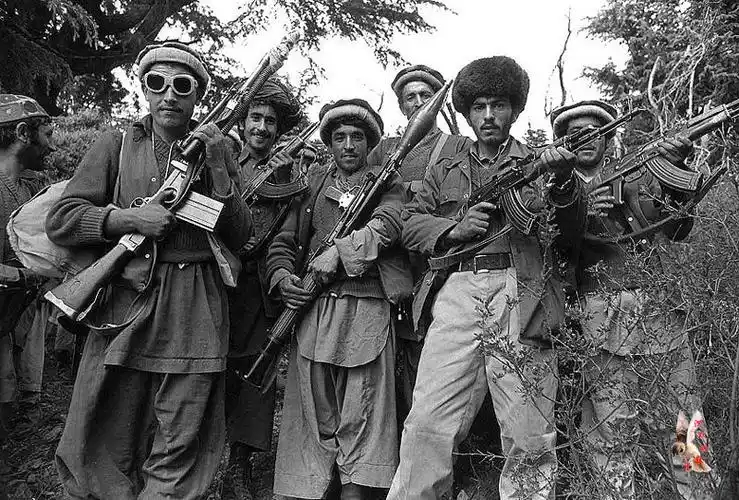 1979-1989年的阿富汗战争圣战组织