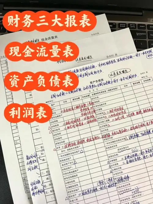 资产负债表现金流量表利润表填写内容