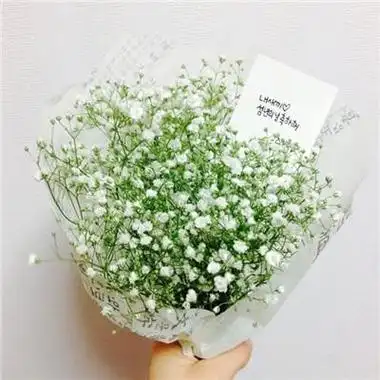 唯美满天星头像片