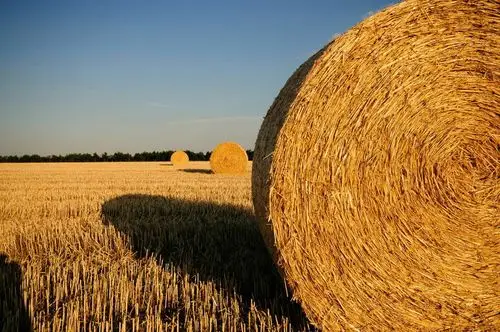 image 3343 1452346323 straw-bales-726977 1920