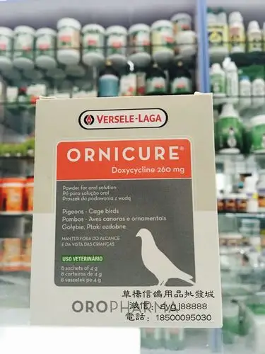 比利时凡赛尔欧乐强-呼必安