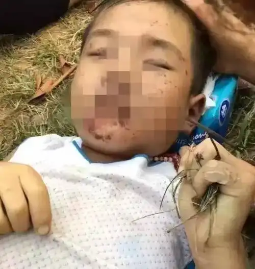 然而不幸的是5月31日我们接到爆料小孩儿尸体已经在育阳桥北边白河中