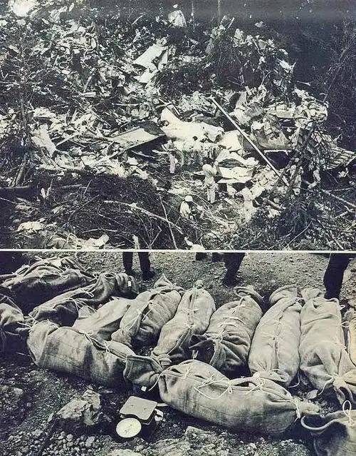 史上最大的空难日航坠机520人遇难为何唯独四个女性幸存