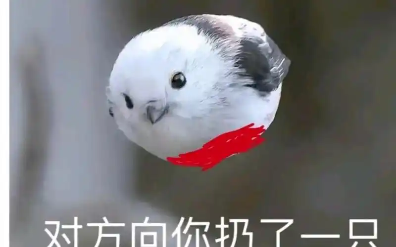 脑叶公司(月计)表情包合集(11)