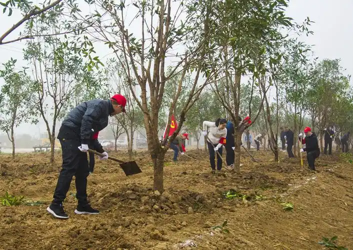 农垦集团开展植树节活动形式多样