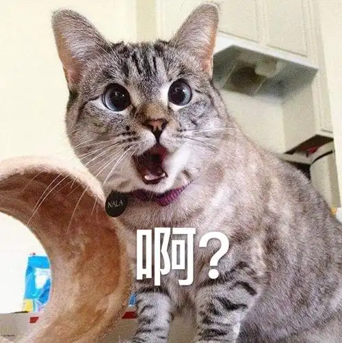 话不同不相为谋,我日你妈先告辞了表情包 - 热门表情包精选 - 表情图