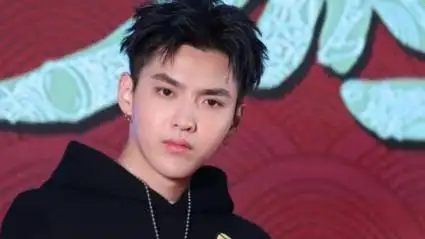 吴亦凡公司再被强制执行