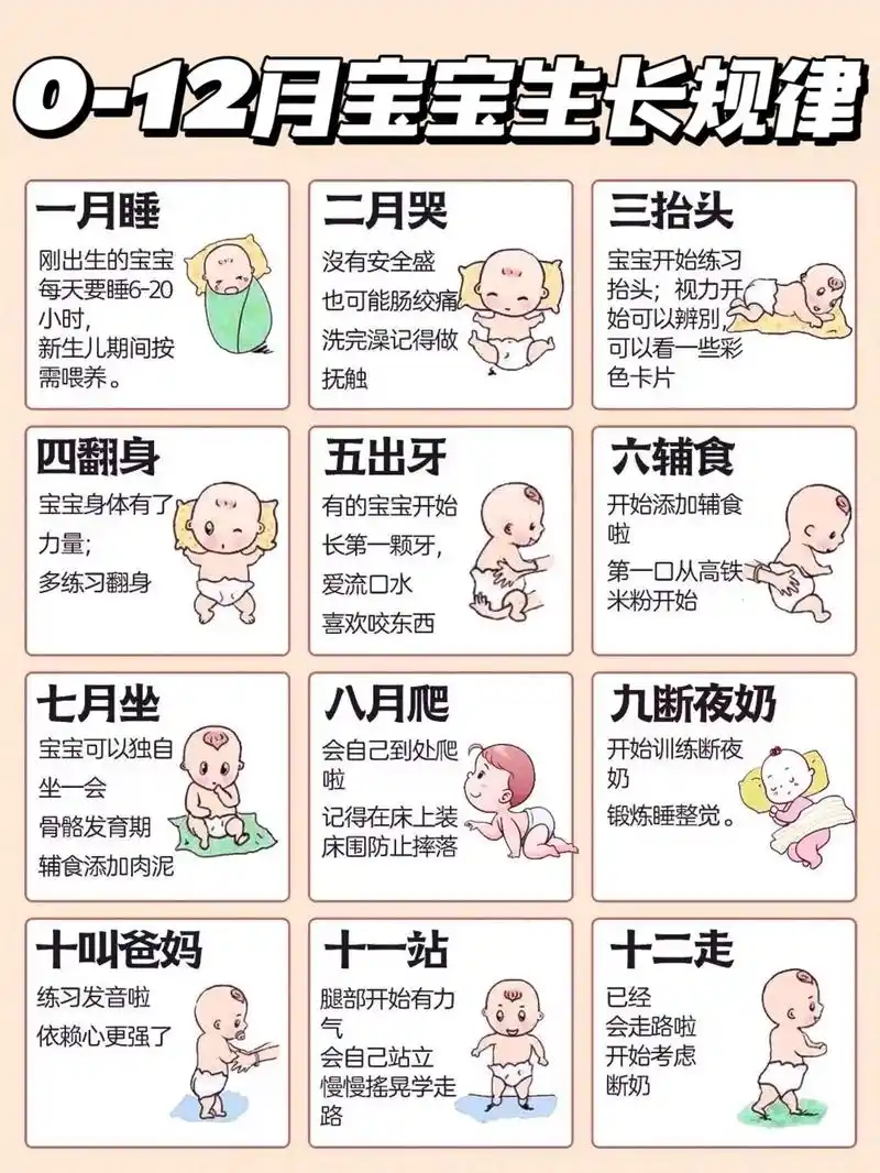 宝宝0-12月成长规律|新手爸妈必备常识