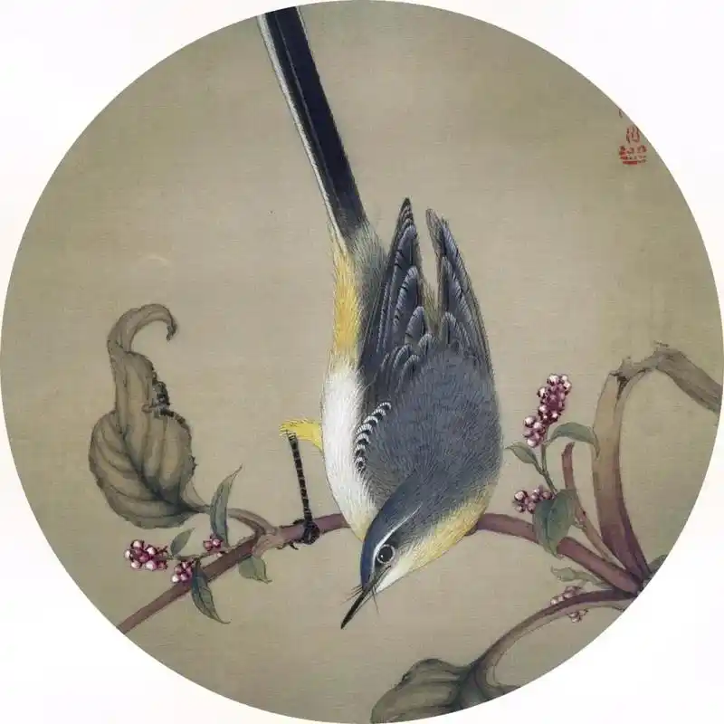 工笔花鸟画步骤.#治愈系 #工笔画 #零基础学画画 ##一起 - 抖音