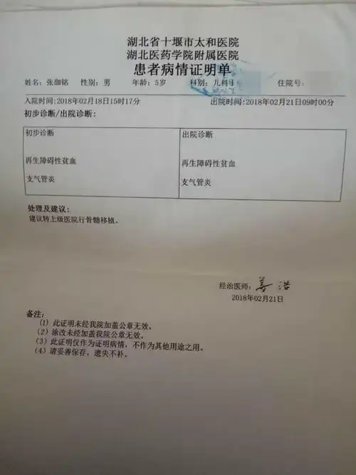再障男孩的生命呼唤