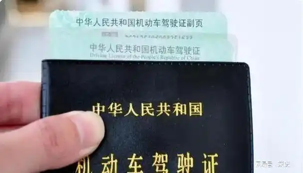 驾照|行驶证|驾驶证|机动车_网易订阅