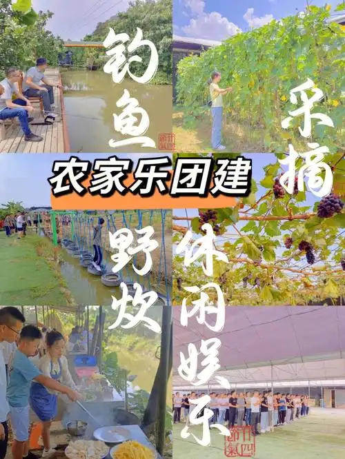 深圳周边游农家乐公司团建采摘钓鱼休闲