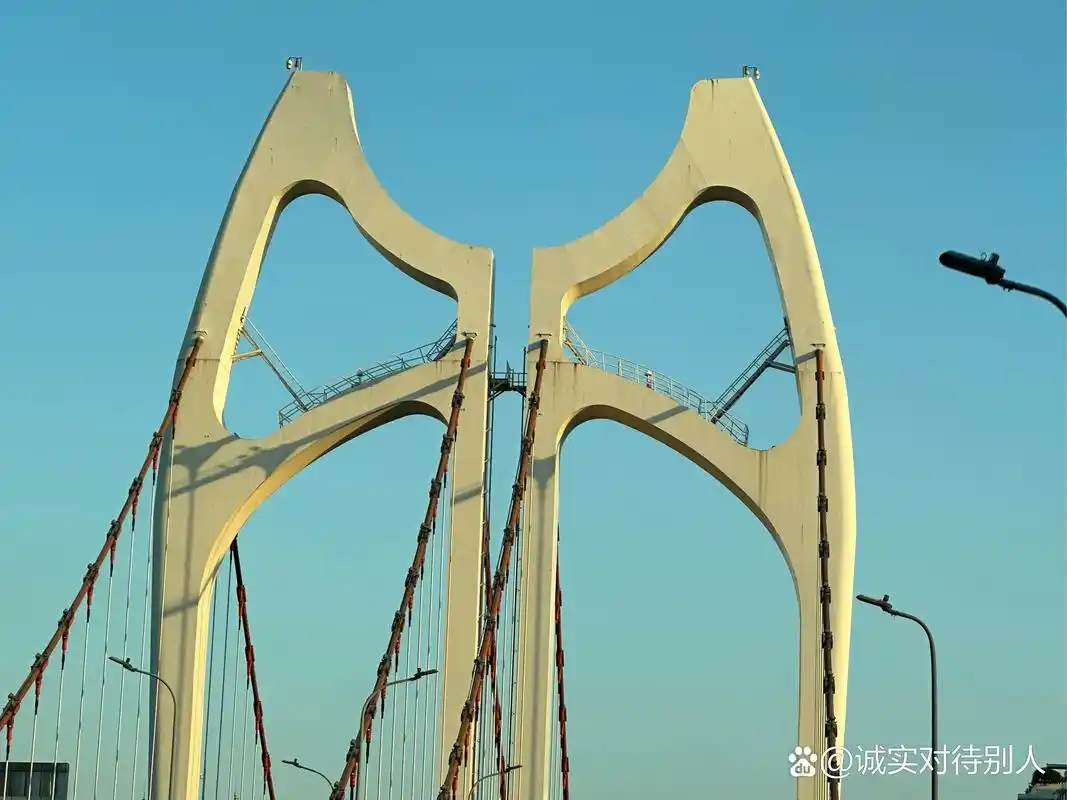 这段话说的透彻:"人一旦历练到不想说话,不想争辩