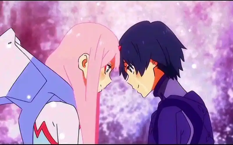 【国家队02】鹤望兰无凋零之时 比翼鸟永世长存 七夕快乐