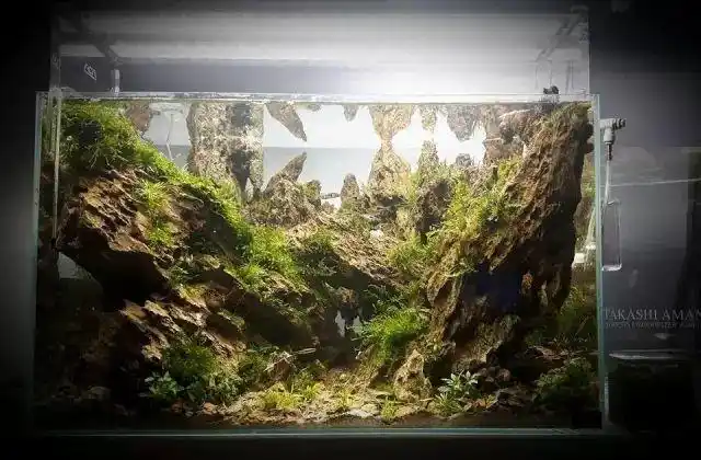 造景师sascha hoyer松皮石造景