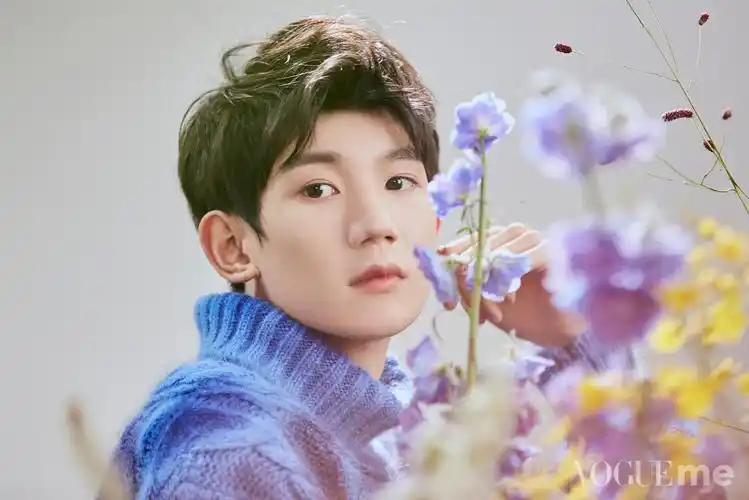 被花丛环绕的少年,清新帅气又充满活力|王源|花丛|甜度_新浪新闻