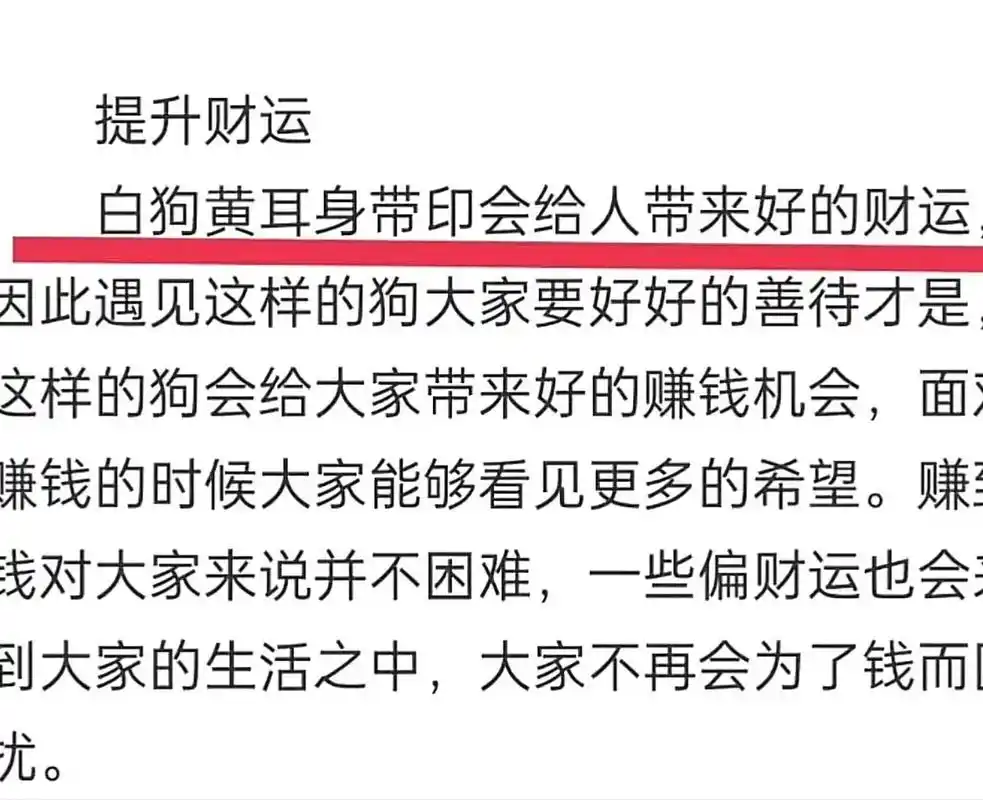 原来古时就流传:白狗黄耳身带印,全家兴旺一世昌,旺财旺主人. - 抖音