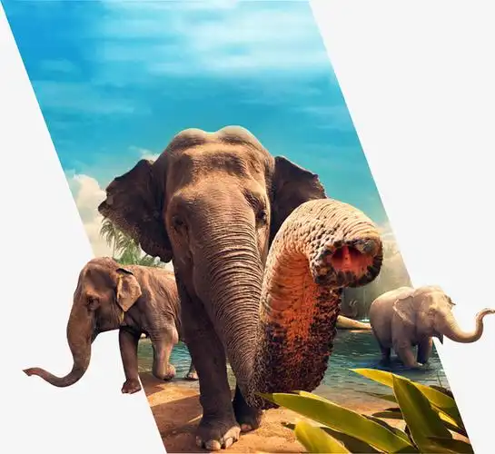 西双版纳大象树叶水png免抠素材新图网ixintucom