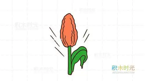 棉桃稻花高粱简笔画