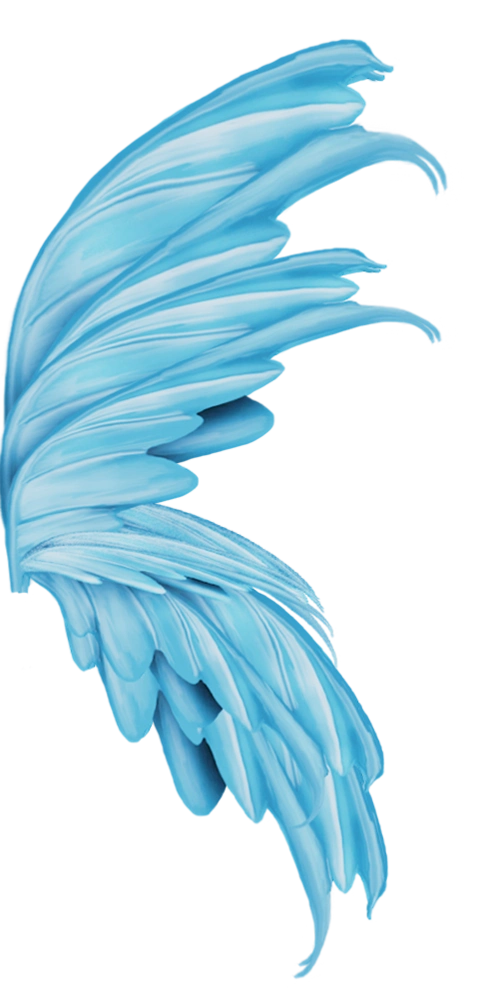 天使恶魔翅膀图片大全