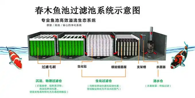 庭院鱼池过滤仓系统示意图