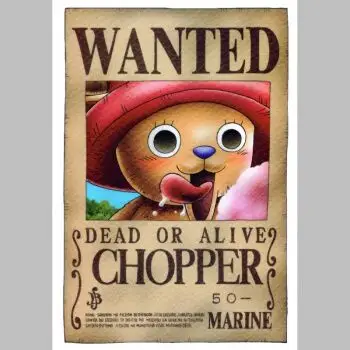 海贼王悬赏令通缉令海报路飞宿舍挂画图卡通动漫卧室布置装饰墙纸 xsl