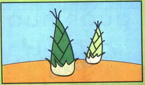 简笔画竹笋的画法竹笋的简笔画怎么画有图片吗竹笋简笔画怎么画
