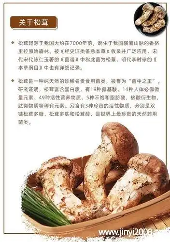 松茸多糖的作用与功效