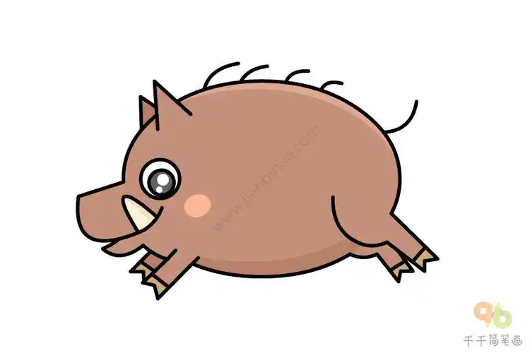奔跑的野猪简笔画