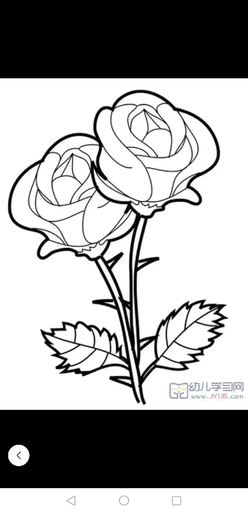 多彩玫瑰95,被治愈的一天   爱上画画,喜欢流动的线条 - 抖音