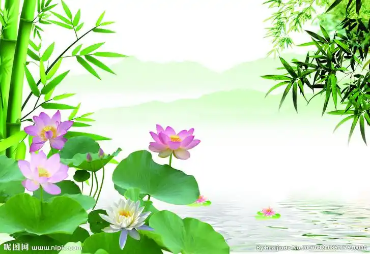 3d荷花背景墙图片