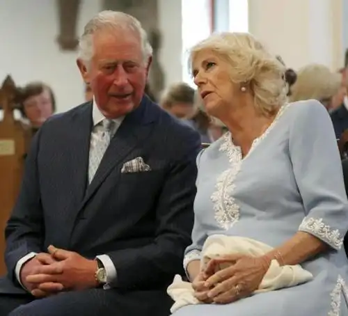 卡米拉随查尔斯访问德国尽显憔悴,脸部皱纹格外明显