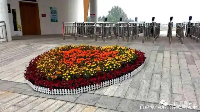 河南三门峡:这些地方花卉摆出奇妙造型,快来留影!