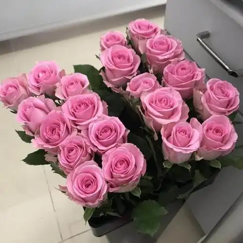 【读本鲜花】玫瑰.苏醒大花一扎20枝49元包邮