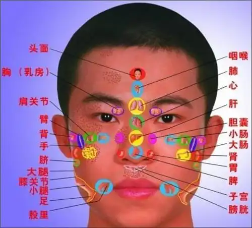 面部五脏反射穴位图