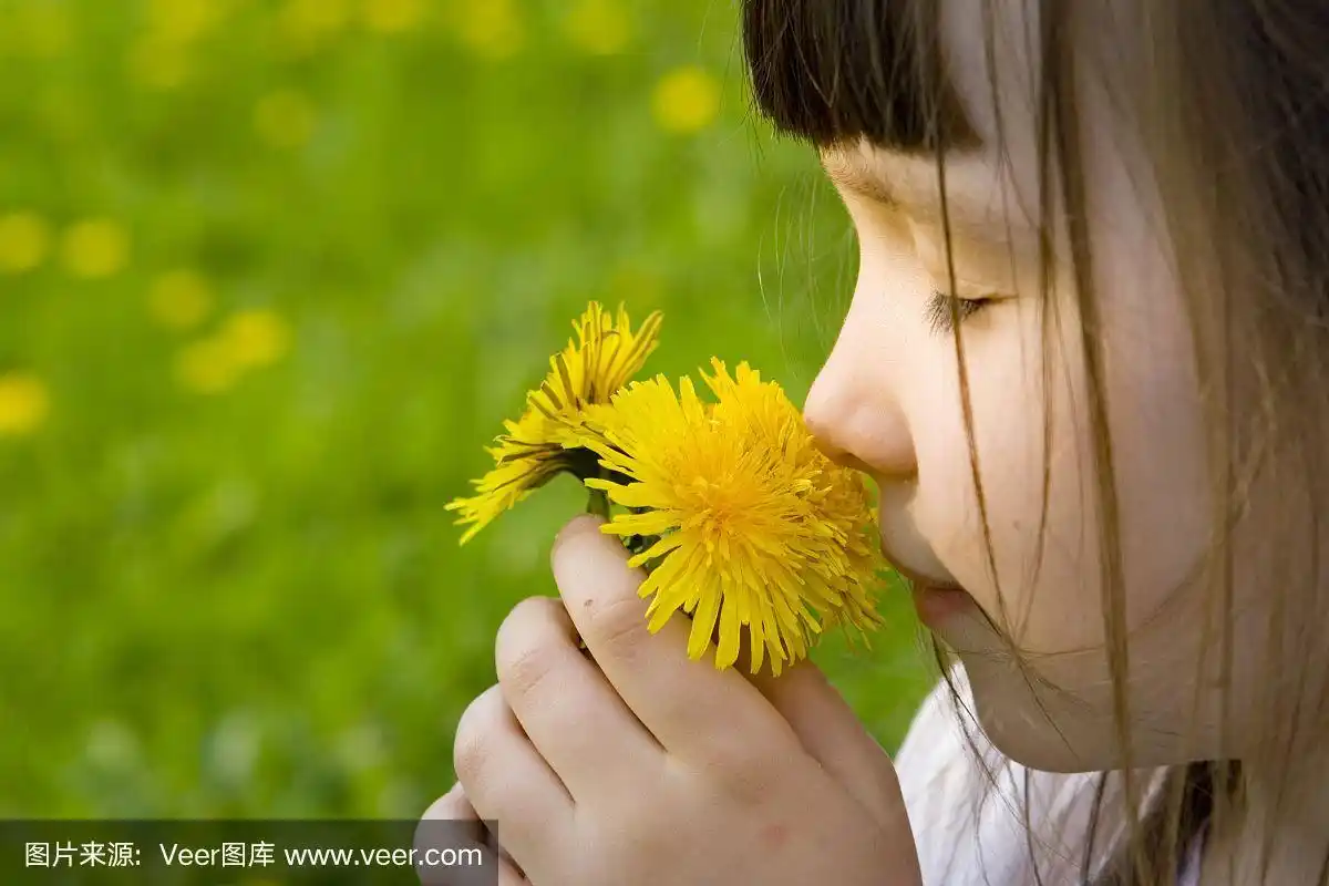 女孩闻花