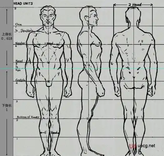 九头身龚俊是否是人间精品